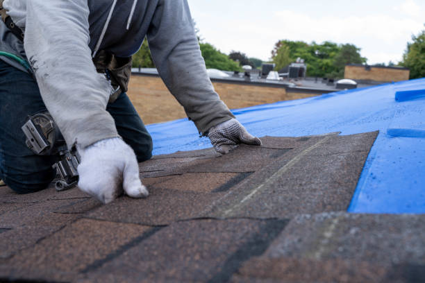 Best Roof Maintenance Services  in Altavista, VA